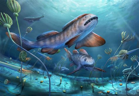 carboniferous era sharks